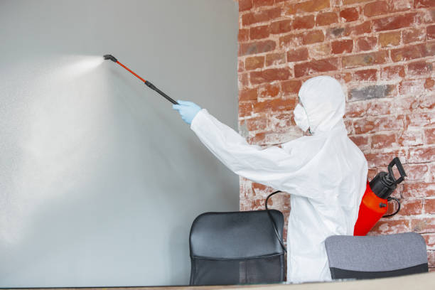 Best Mold Odor Removal Services  in Richfield Springs, NY