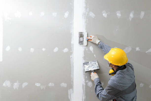 Best Comprehensive Air Testing for Mold Contaminants  in Richfield Springs, NY