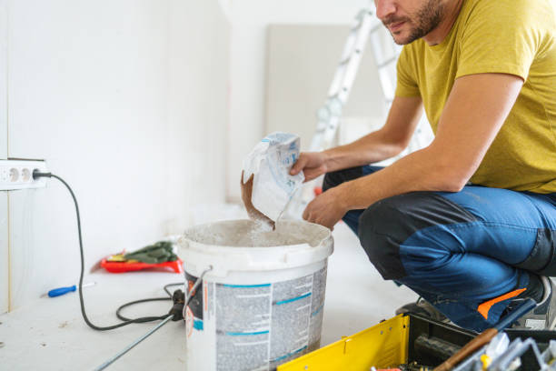 Best Attic Mold Removal  in Richfield Springs, NY