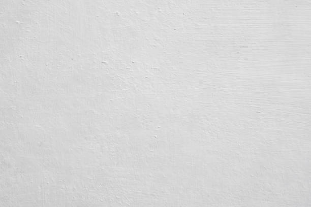Trusted Richfield Springs, NY Mold Removal Experts