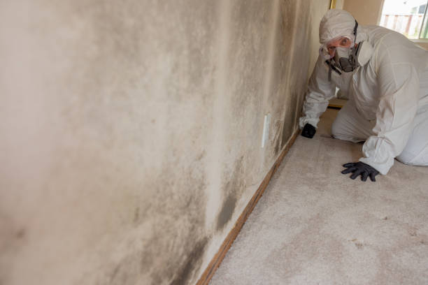 Best Airborne Mold Testing  in Richfield Springs, NY