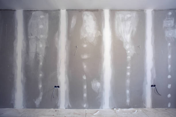 Best HVAC Mold Inspection and Cleaning  in Richfield Springs, NY